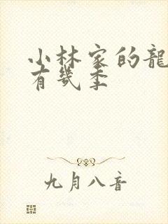 小林家的龙女仆有几季