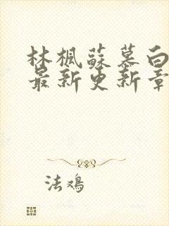 林枫苏慕白小说最新更新章节