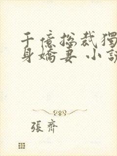 千亿总裁独宠替身娇妻 小说