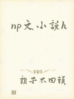 np文小说h