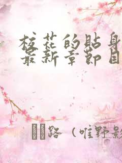 校花的贴身高手最新章节目录下载