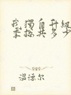 我独自升级第二季总共多少集