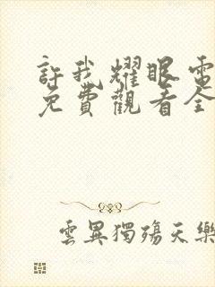 许我耀眼电视剧免费观看全部15集