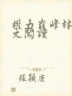 权力巅峰林毅全文阅读