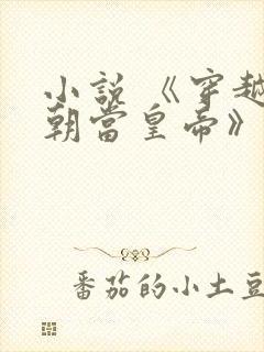 小说 《穿越明朝当皇帝》