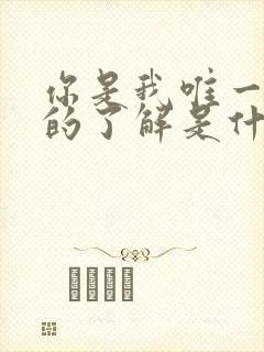 你是我唯一想要的了解是什么歌