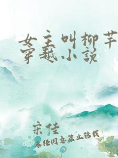 女主叫柳芊芊的穿越小说