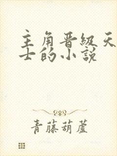 主角晋级天空骑士的小说