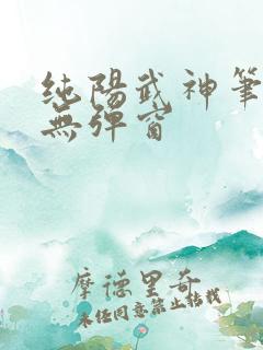 纯阳武神笔趣阁无弹窗