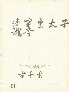 清穿皇太子妃湘湘兮