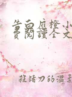 告白应橙小说免费阅读全文