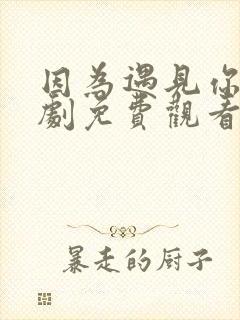 因为遇见你电视剧免费观看完整版