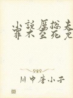 小说厉总夫人她罪不至死免费看