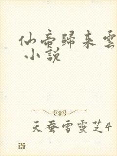 仙帝归来云青岩 小说