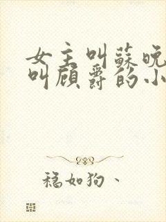 女主叫苏晚男主叫顾爵的小说名字