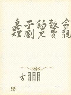 妻子的致命谎言短剧免费观看