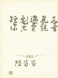 短剧遇见正确的你免费观看