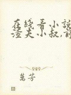 在线看小说再婚渣夫小叔,前任发了疯