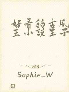 好看的古风双男主小说生子