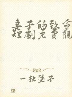 妻子的致命谎言短剧免费观看