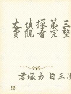 大侦探第三季免费观看完整版高清