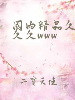 国内精品久久久久久www