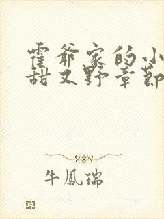 霍爷家的小祖宗甜又野章节