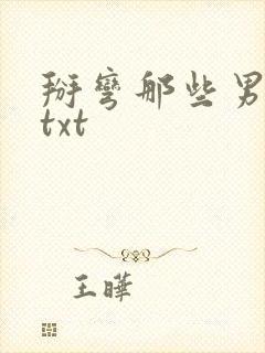 掰弯那些男人们txt