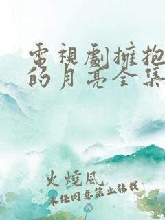 电视剧拥抱星星的月亮全集