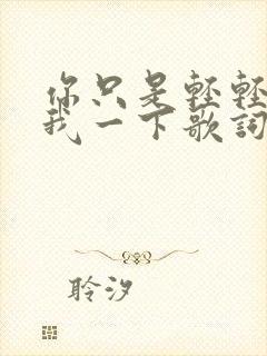 你只是轻轻爱了我一下歌词完整版