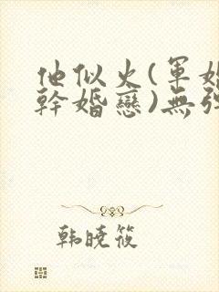 他似火(军婚高干婚恋)无弹窗