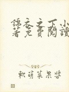 锦衣之下小说原著免费阅读