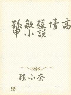 孙敏张倩高义王申小说