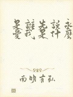 是谁先说永远的爱我是什么歌