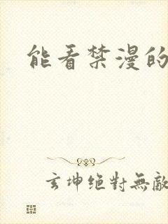 能看禁漫的软件