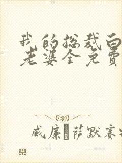 我的总裁白富美老婆全免费的小说