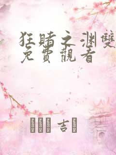 狂赌之渊双动漫免费观看