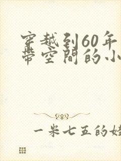 穿越到60年代带空间的小说男主