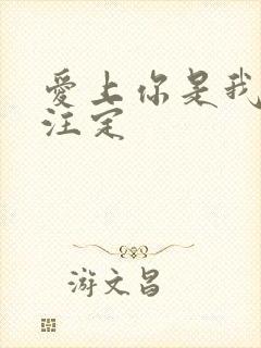 爱上你是我命中注定