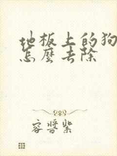 地板上的狗尿渍怎么去除