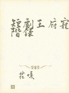 短剧王府宠妾进阶录