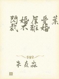 闪婚厚爱叶少总裁不离婚