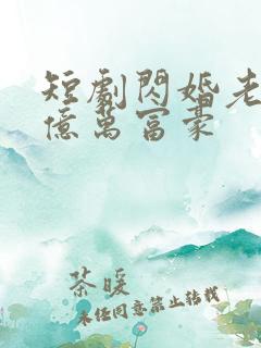 短剧闪婚老公是亿万富豪