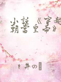 小说 《穿越明朝当皇帝》