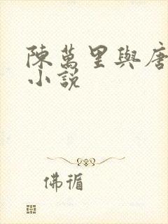 陈万里与唐嫣然小说