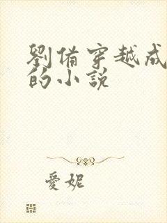 刘备穿越成赵构的小说