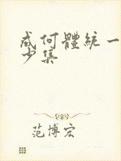 成何体统一共多少集