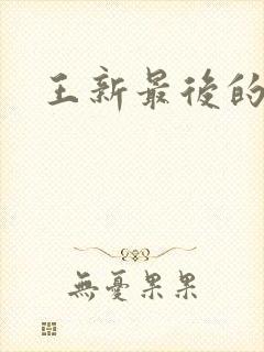 王新最后的结局