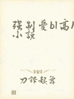 强制爱bl高h小说