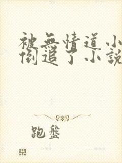 被无情道小师弟倒追了小说txt下载